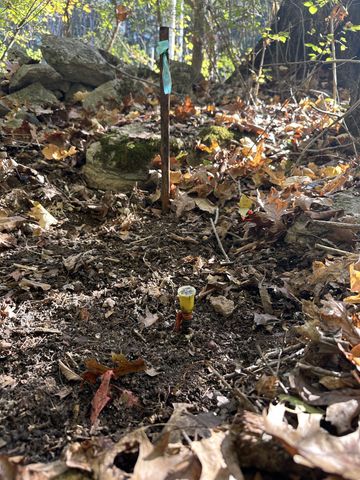 96 Paradise Dr, Mount Juliet, TN 37122