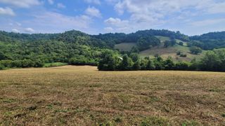 7 Puncheon Camp Rd, Bell Buckle, TN 37020