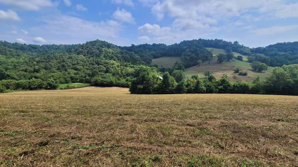 7 Puncheon Camp Rd, Bell Buckle, TN 37020