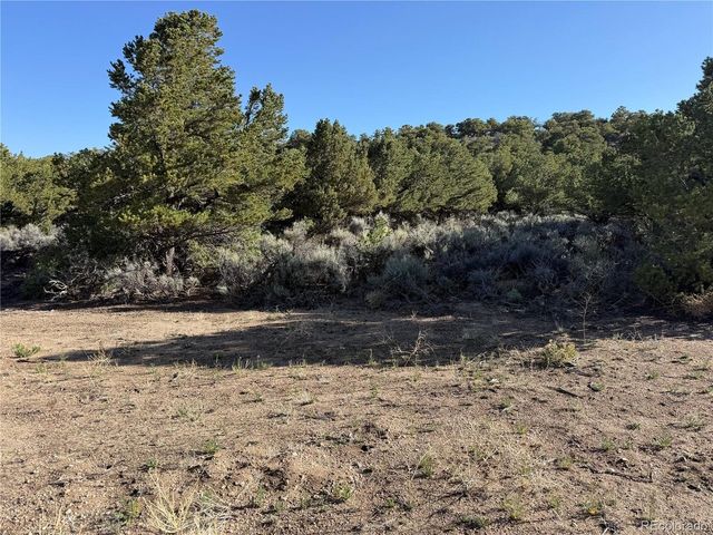 7067 Waligunda Rd, Fort Garland, CO 81133