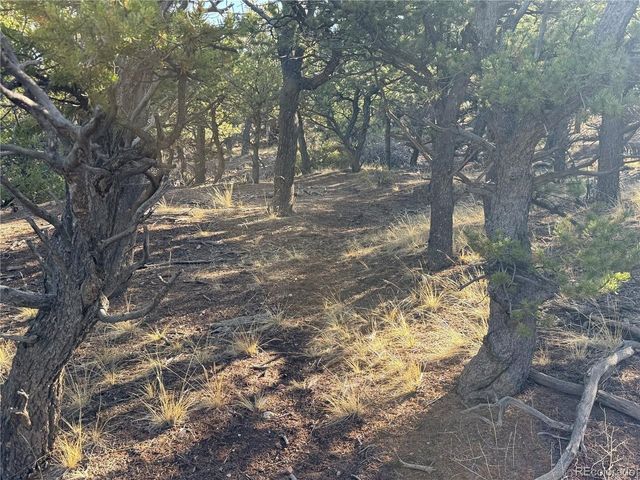 7067 Waligunda Rd, Fort Garland, CO 81133