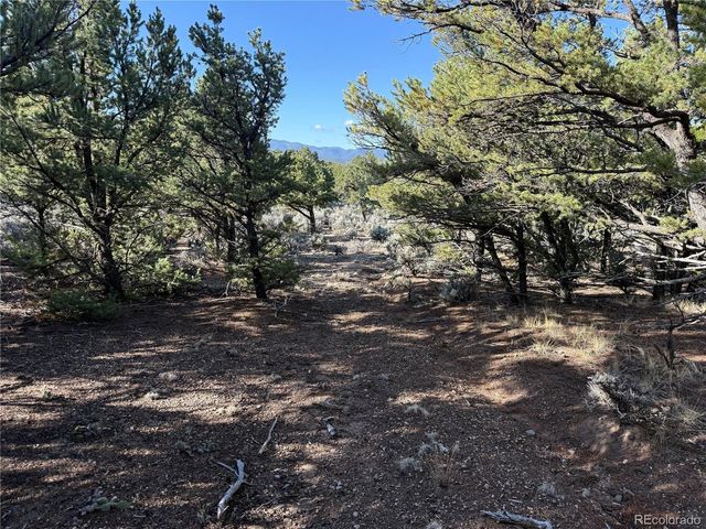 7067 Waligunda Rd, Fort Garland, CO 81133