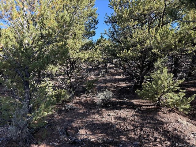 7067 Waligunda Rd, Fort Garland, CO 81133