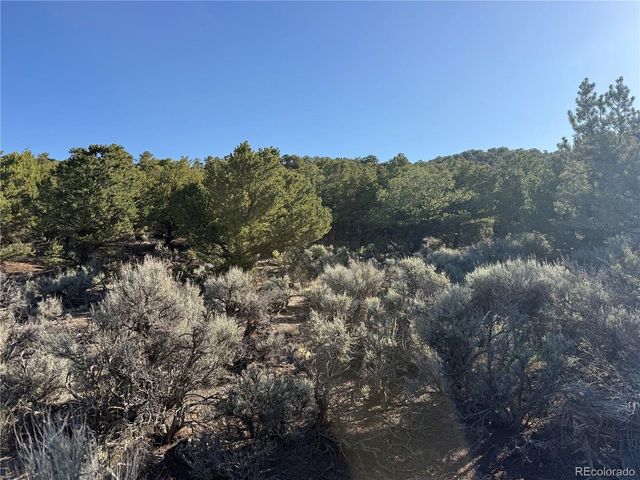 7067 Waligunda Rd, Fort Garland, CO 81133