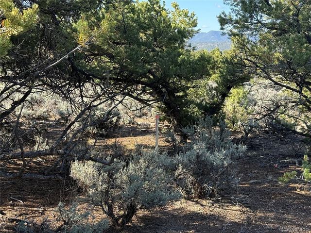 7067 Waligunda Rd, Fort Garland, CO 81133