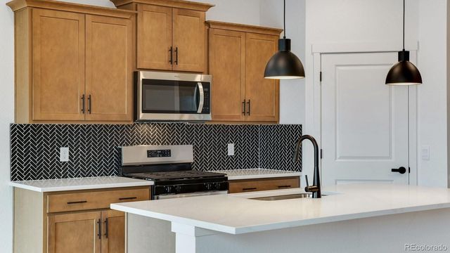 14224 Beebalm Avenue, Parker, CO 80134