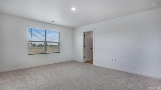 14224 Beebalm Avenue, Parker, CO 80134