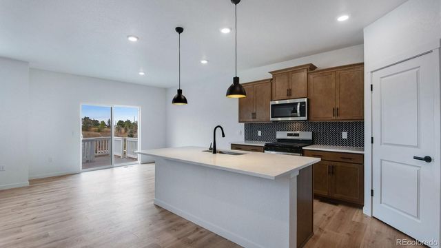 14224 Beebalm Avenue, Parker, CO 80134