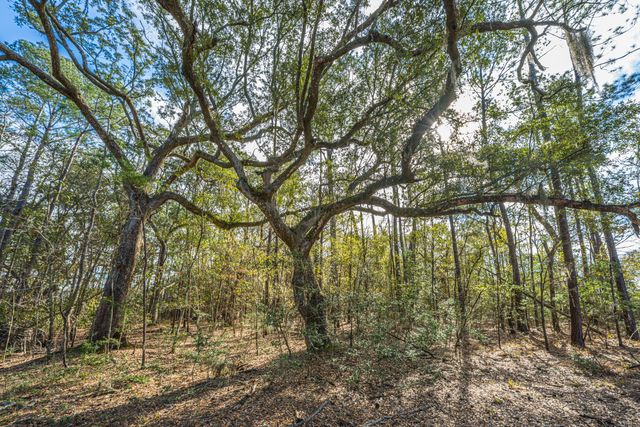 4107 Davison Road, Ravenel, SC 29470