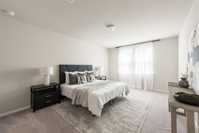 17106 Plover Rock Trail, Hockley, TX 77447