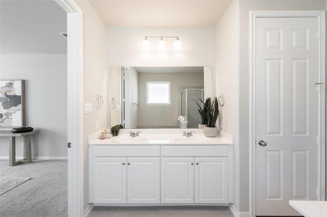 17106 Plover Rock Trail, Hockley, TX 77447