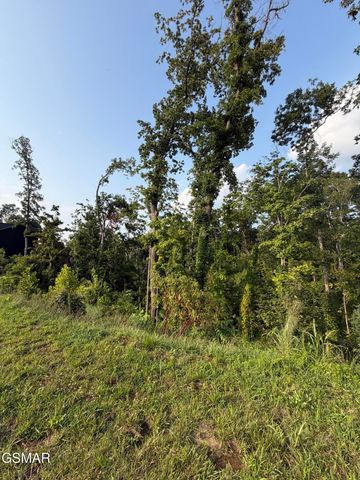 144 Reedmont Way, Sevierville, TN 37876