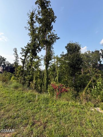 144 Reedmont Way, Sevierville, TN 37876