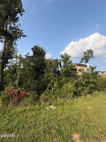 144 Reedmont Way, Sevierville, TN 37876