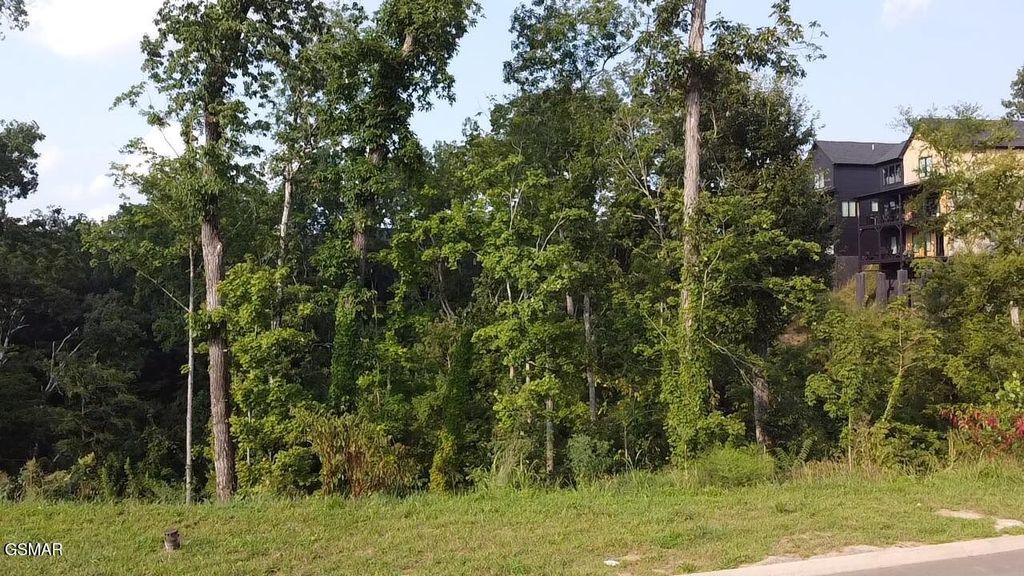 144 Reedmont Way, Sevierville, TN 37876