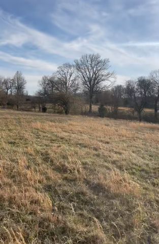 0 Thompson Ln, Portland, TN 37148