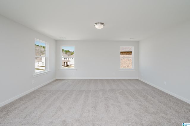 231 RIDGE BOULEVARD, Alabaster, AL 35007