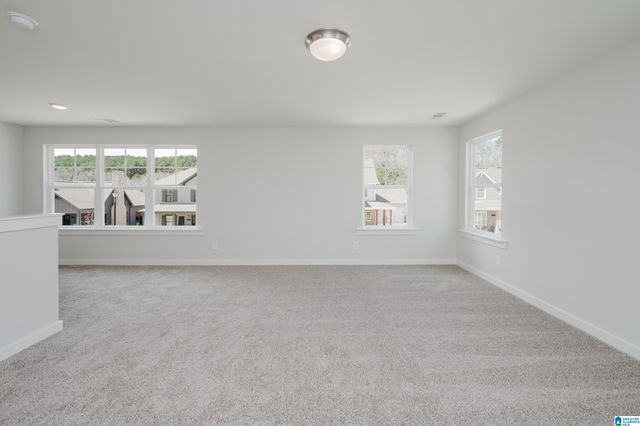 231 RIDGE BOULEVARD, Alabaster, AL 35007