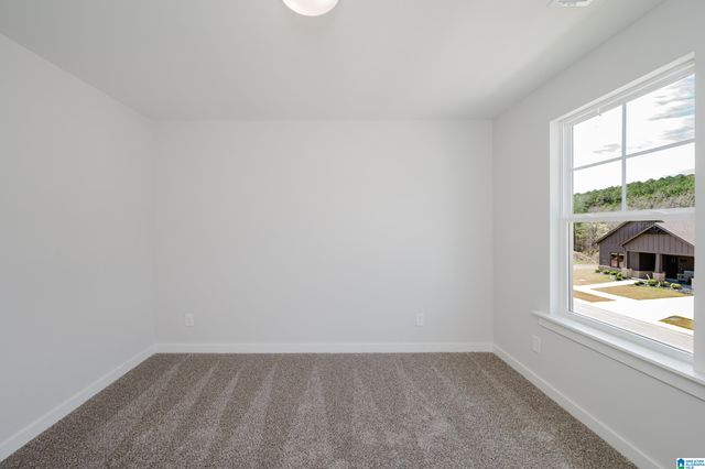 231 RIDGE BOULEVARD, Alabaster, AL 35007