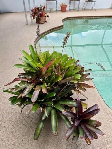 3131 LOWNDES DRIVE, Winter Park, FL 32792