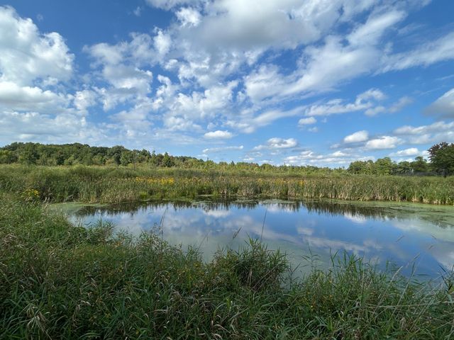 21087 National Street NE, East Bethel, MN 55011