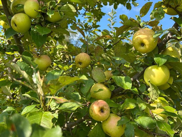 21087 National Street NE, East Bethel, MN 55011