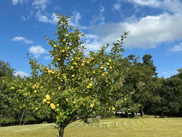 21087 National Street NE, East Bethel, MN 55011