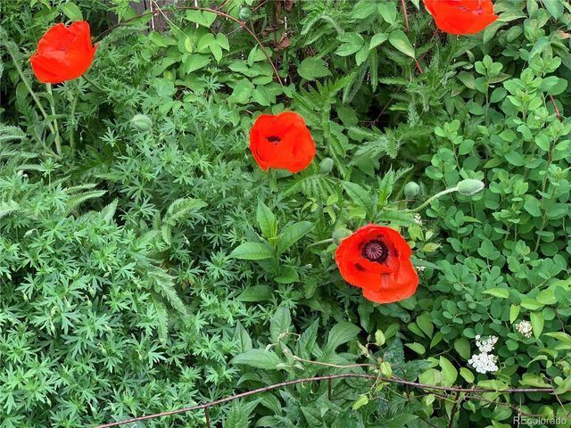 221 Magnolia St, Denver, CO 80220