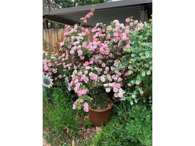 221 Magnolia St, Denver, CO 80220