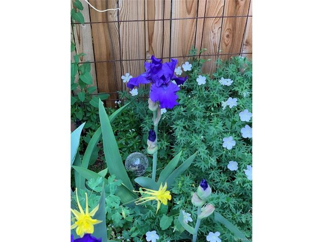 221 Magnolia St, Denver, CO 80220