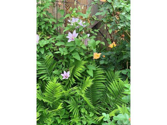 221 Magnolia St, Denver, CO 80220