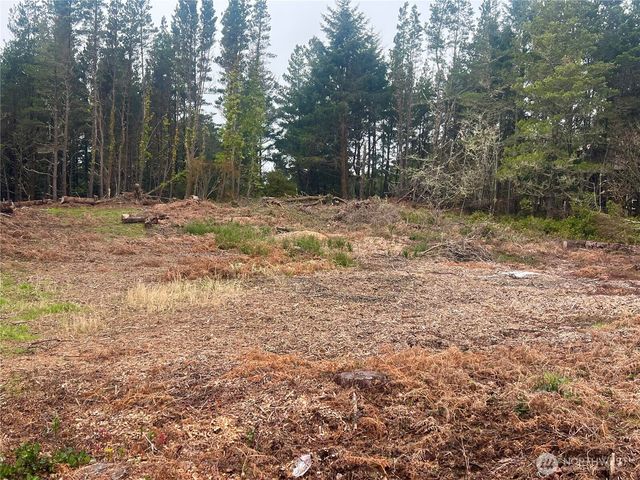 1301 178th Place W, Long Beach, WA 98631