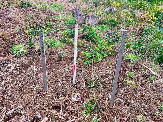 1301 178th Place W, Long Beach, WA 98631