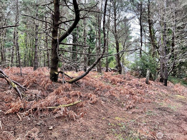 1301 178th Place W, Long Beach, WA 98631