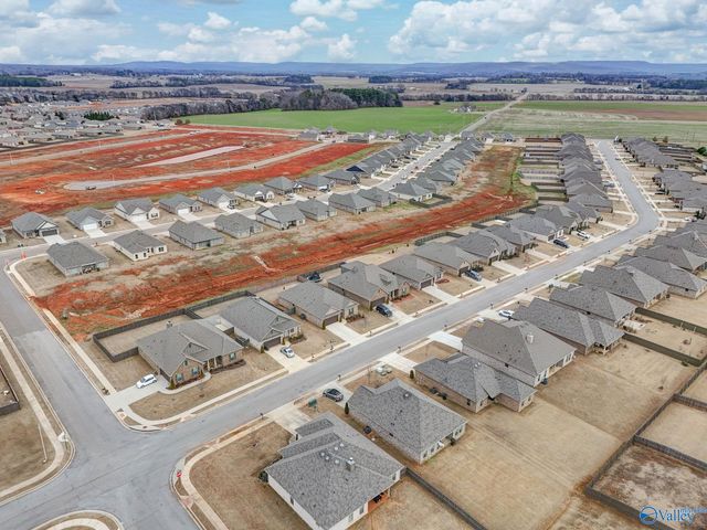 147 Rita Ann Way, Meridianville, AL 35759