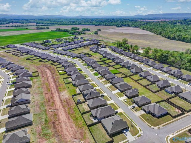 147 Rita Ann Way, Meridianville, AL 35759