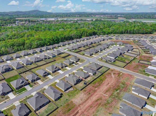 147 Rita Ann Way, Meridianville, AL 35759