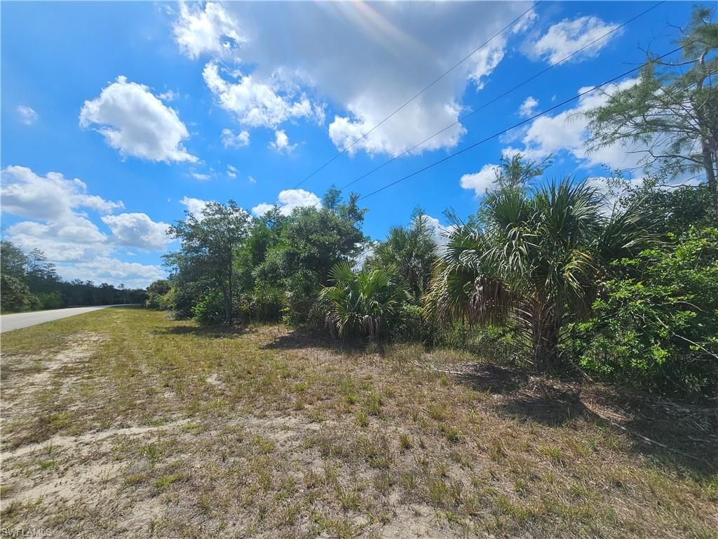 443 Greenbriar BLVD, LEHIGH ACRES, FL 33972 — photo 3