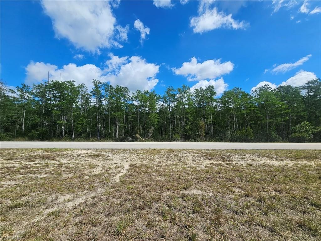 443 Greenbriar BLVD, LEHIGH ACRES, FL 33972 — photo 4