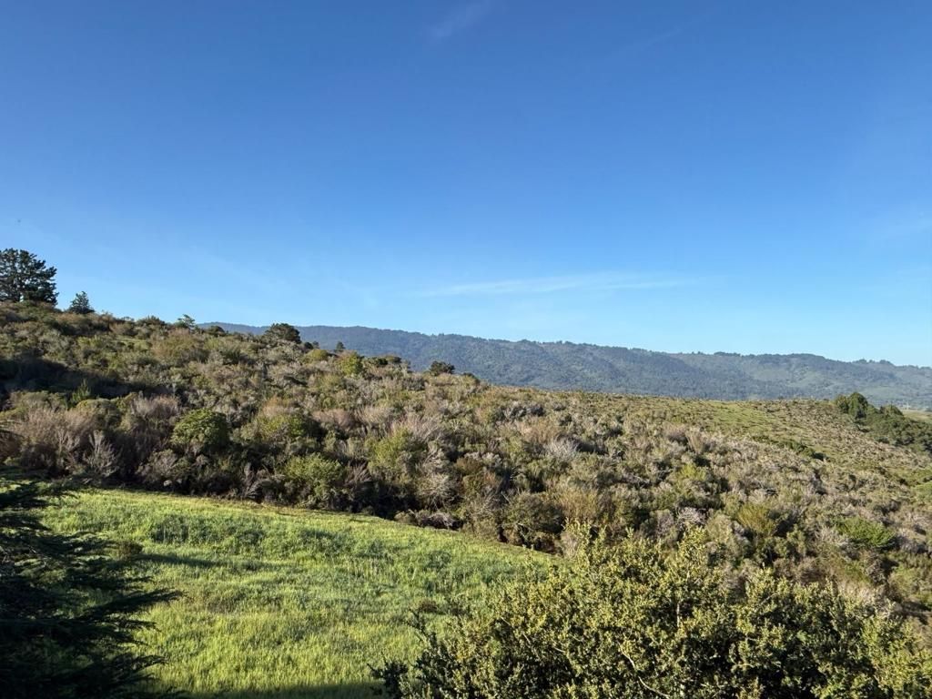 228 Crestview Drive, San Carlos, CA 94070