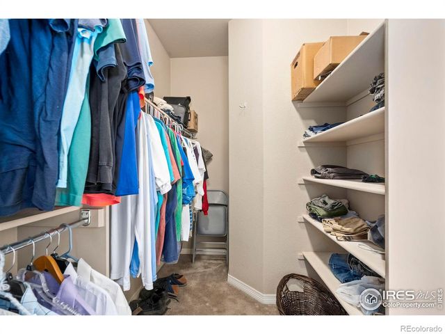 7414 Ladbroke Drive, Windsor, CO 80550