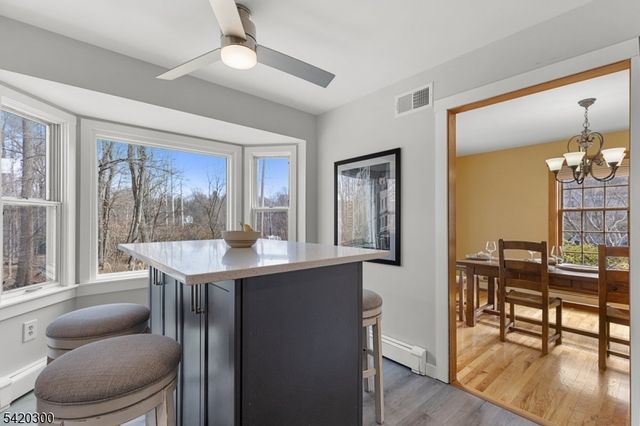 14 Grove Street, Rocky Hill Boro, NJ 08553