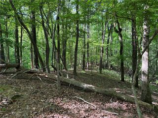 00 High Shoals Drive, Dahlonega, GA 30533