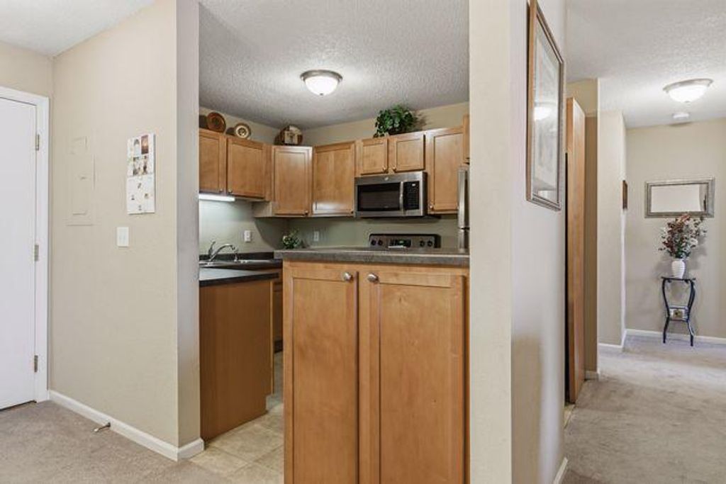 4680 Tower Street SE 309, Prior Lake, MN 55372 — photo 3