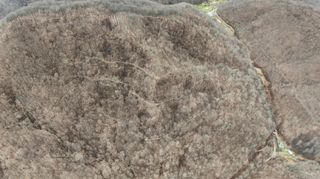 0 Darby Branch Road, Manchester, KY 40962