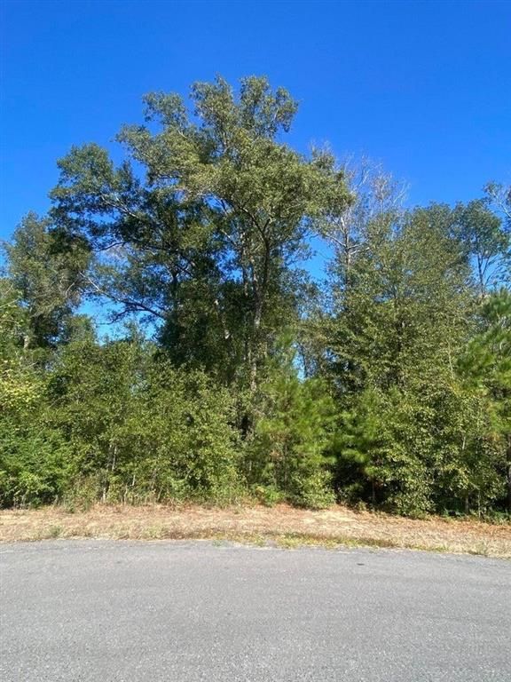 E Robinwood Drive, Moss Bluff, LA 70611