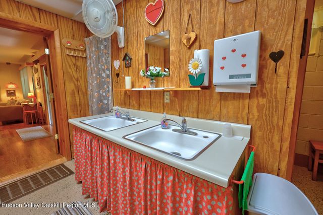 379 Joel M Austin Road S, Cairo, NY 12413