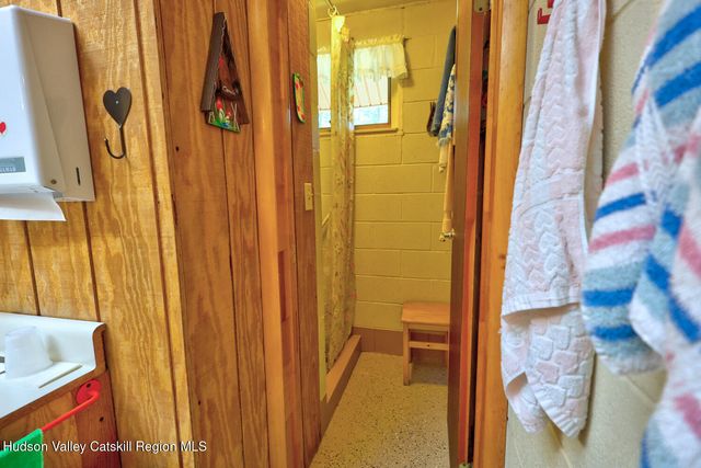 379 Joel M Austin Road S, Cairo, NY 12413