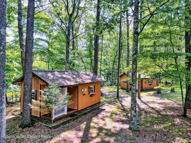 379 Joel M Austin Road S, Cairo, NY 12413