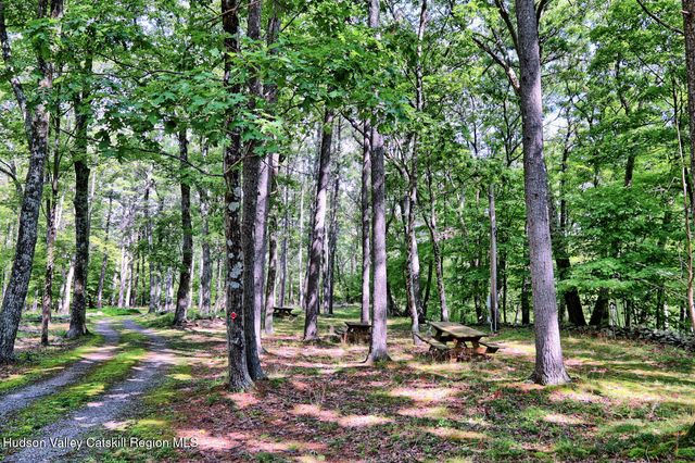 379 Joel M Austin Road S, Cairo, NY 12413